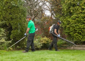 Ухаживаем за садом